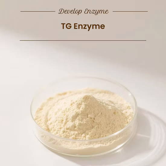 단백질 가수분해물을 위한 고품질 식품 등급 향미 효소 아미노펩티다아제