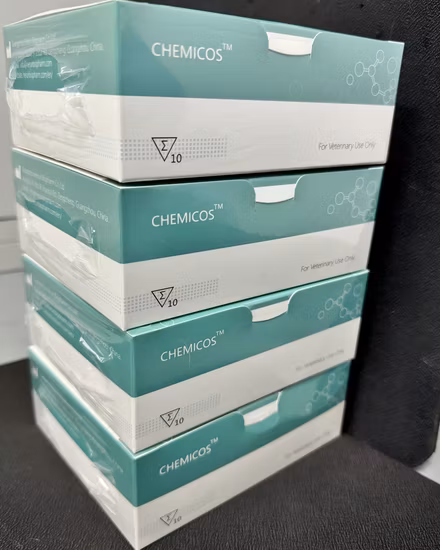 항-CD27 토끼 다클론 1차 항체