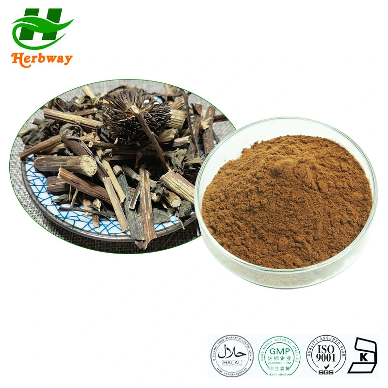 Herbway Factory Direct Sale 4% Echinacosides Herbal Extract Powder Echinacea Purpurea Extract