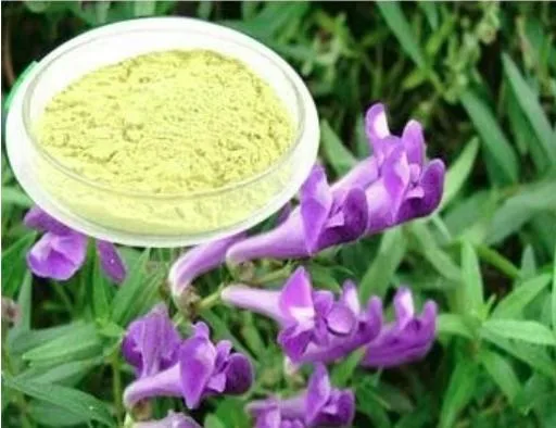 E. K Herb Plant Extract Manufacturer Hot Selling Plant Extract Scutellaria Baicalensis Georgi Foods Supplement 90% HPLC Baicalin Extract