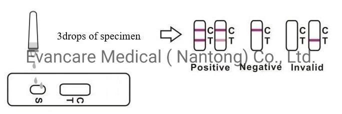 Herpesvirales Testing Cmv Igg Antibodies / Igm Cytomegalovirus Elisa Kits